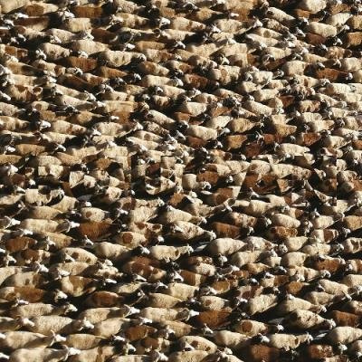 Boucan - Boucan (2022)