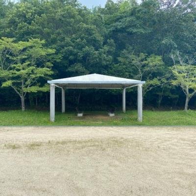 Gallery Six - A Feeling Of Weakness (2022)