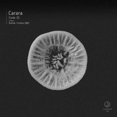 Carara - Code ID (2022)