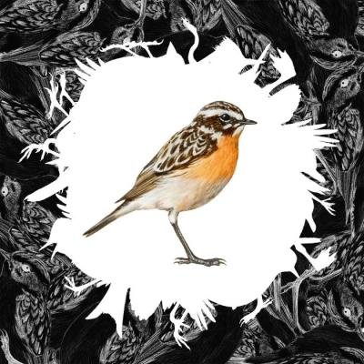 Dominik Eulberg - Braunkehlchen (2022)