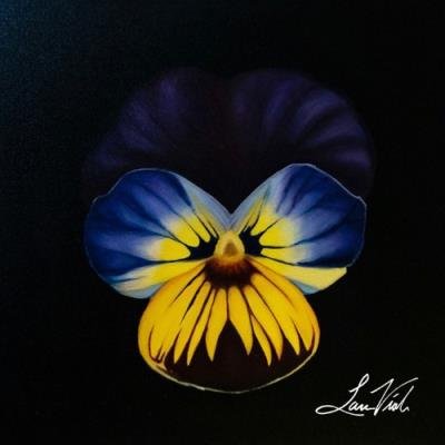 Lars Viola - Surface Noise (2022)