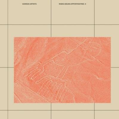 Risks Issues Opportunities 2 (2022)