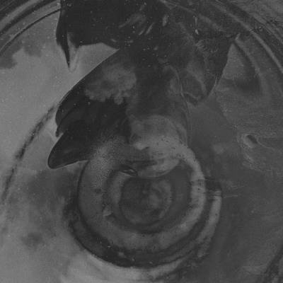 Fabrizio De Santis - Elements (2022)