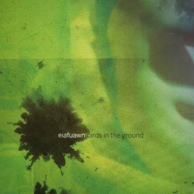 Eiafauwn - Birds In The Ground (2022)