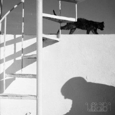 Pino Peña, kralle.selekta - Mogli (2022)