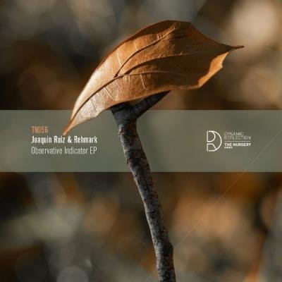 Observative Indicator EP (2022)