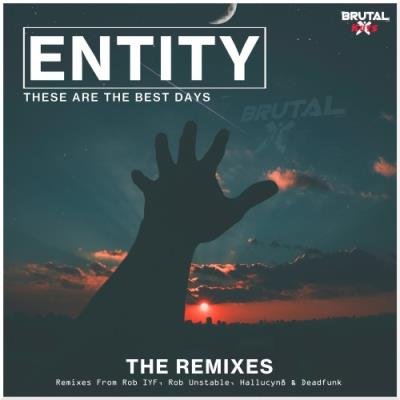 Entity - These Are The Best Days (The Remixes) (2022)