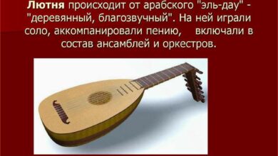 История лютни музыкального инструмента