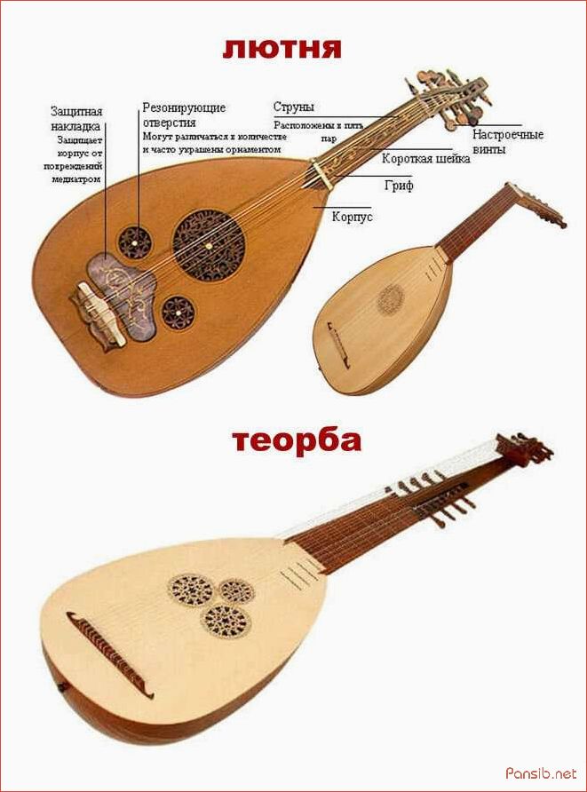 История лютни музыкального инструмента