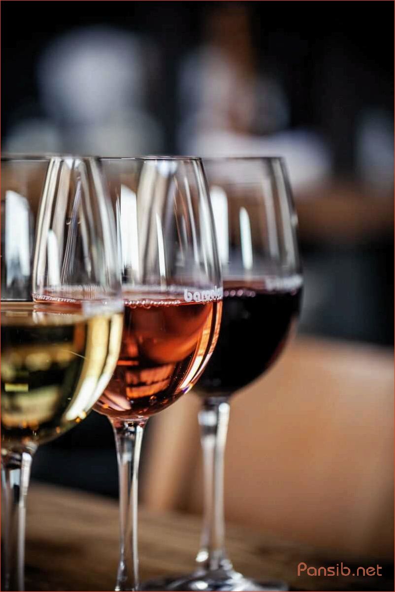 Искусство дегустации вина — тайны оценки аромата, вкуса и послевкусия