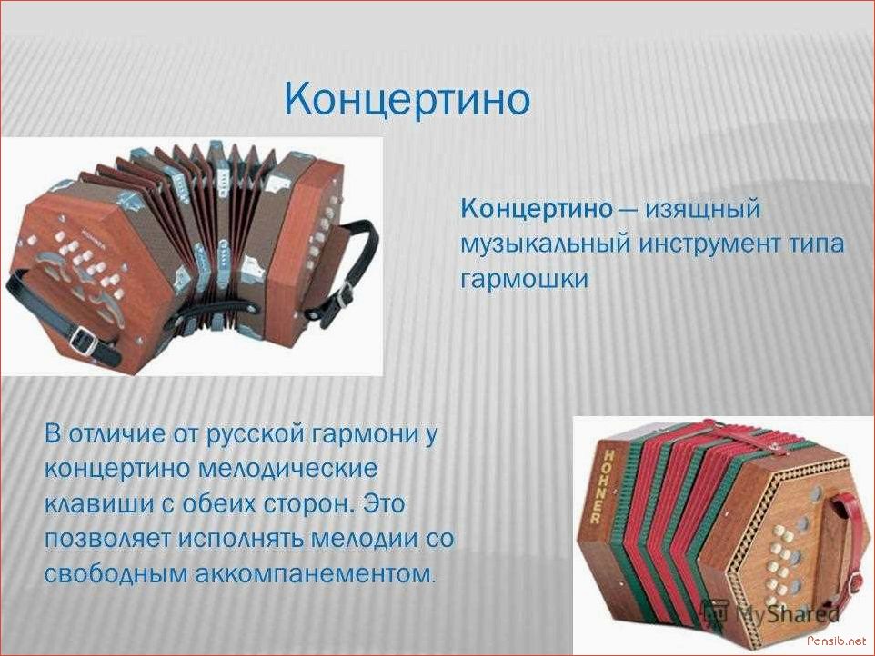 История музыкального инструмента концертина