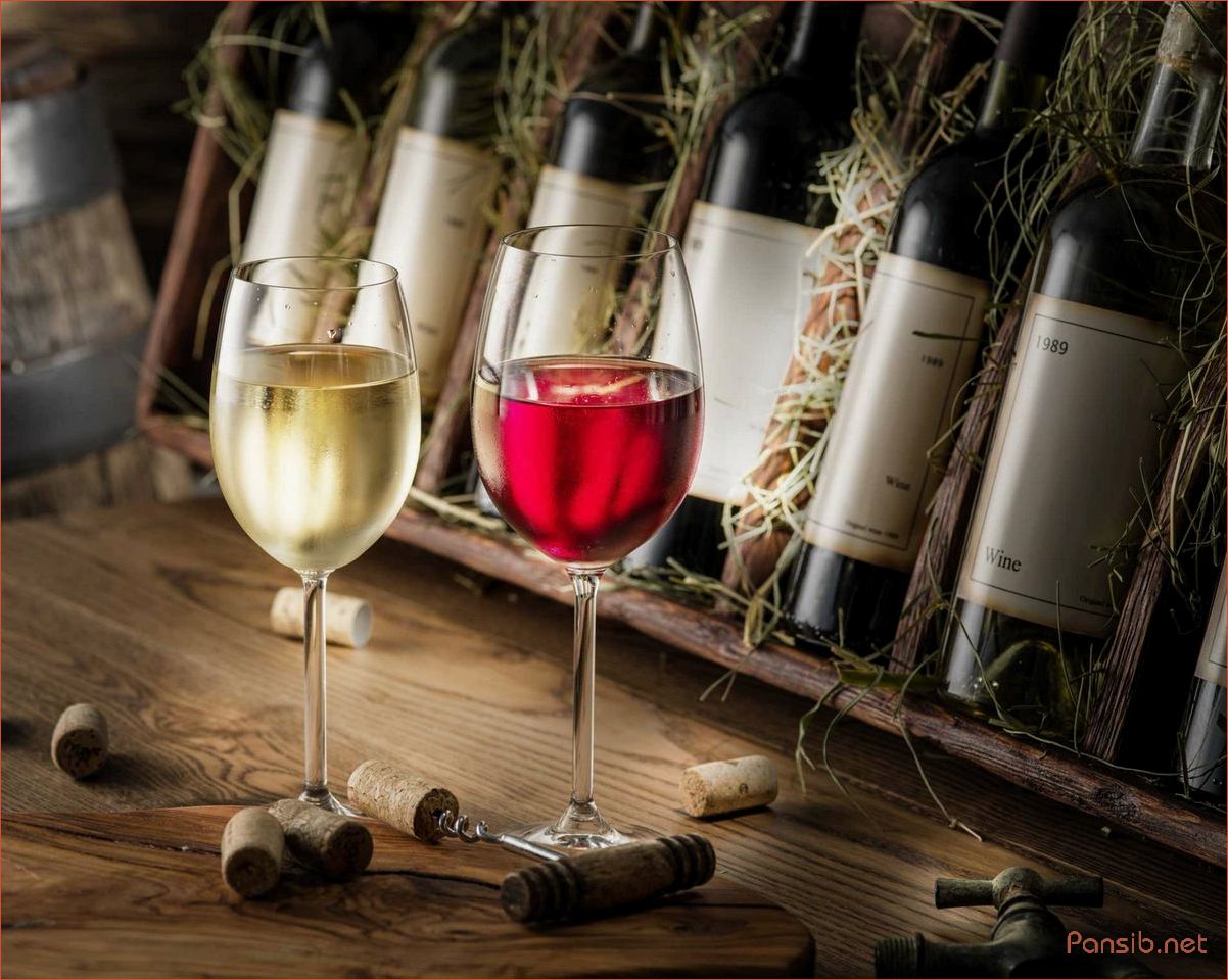 Узнайте все о винной дегустации — техники, сорта и секреты выбора лучших вин