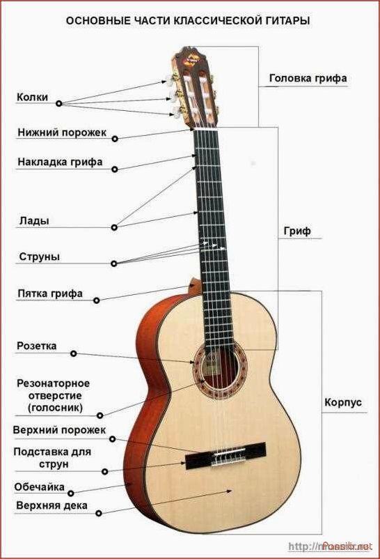 История и особенности классической гитары