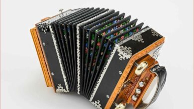 История музыкального инструмента гармоника