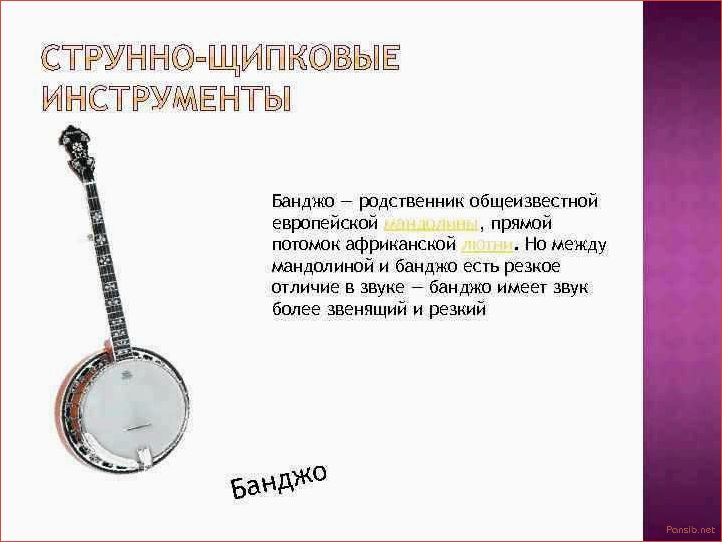 История возникновения и развития банджо