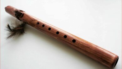 История музыкального инструмента пинкильо