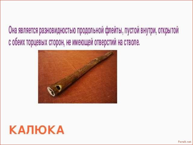 История музыкального инструмента Колюка