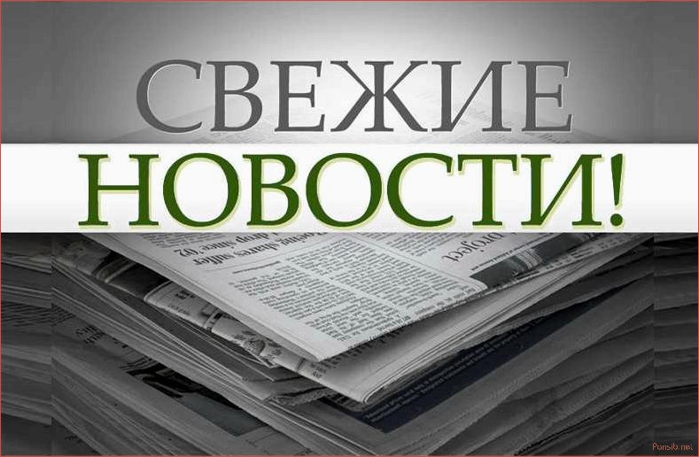 Свежие интернет новости и их влияние на общество