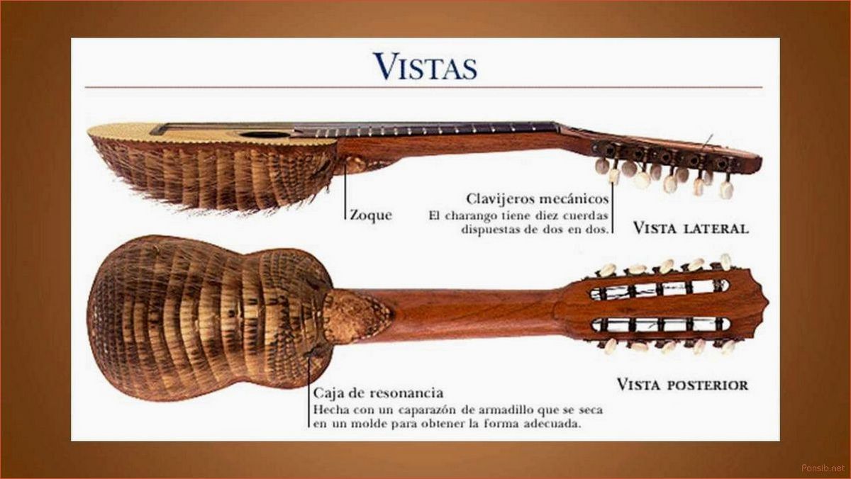 История музыкального инструмента чаранго