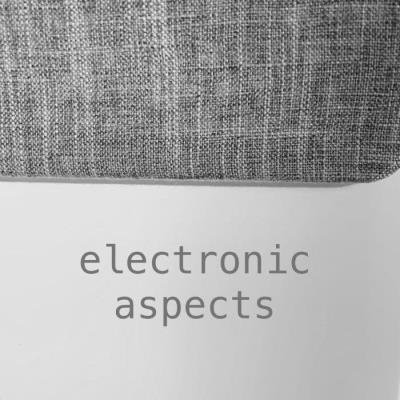 Electronic Aspects XVIII (2021)