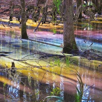 RNBWS - Salvation (2021)