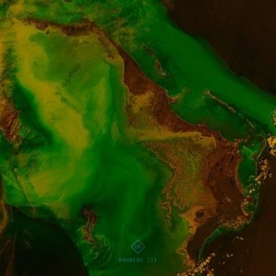 Tracking Point (2021)