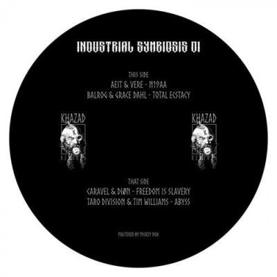 Industrial Symbiosis 01 (2021)