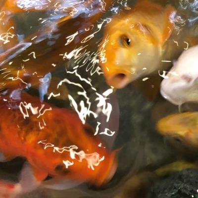 James Bernard (Influx) - Reminiscence (2021)