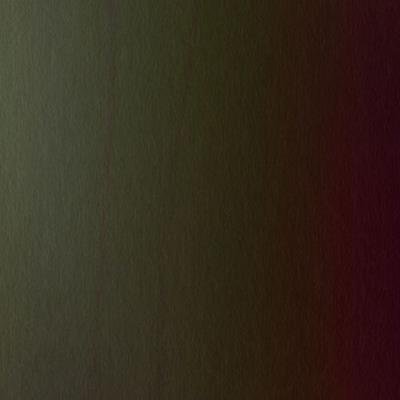 VRØD - Polarized Extinction (2021)