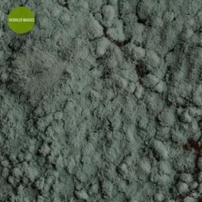 Huddled Masses (2021)