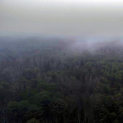 Minitronik aka Matke - The Brain LP (2021)