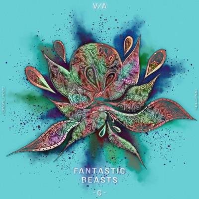 Fantastic Beasts - C - (2021)