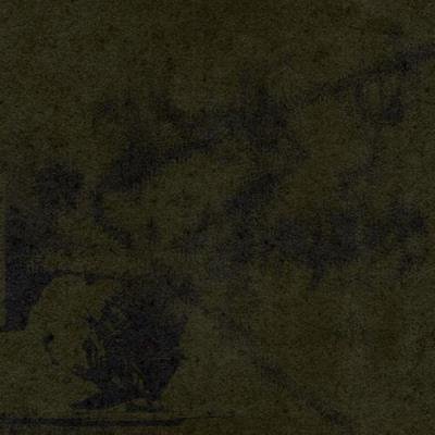 Morph19.78 - Biomechanical (2021)