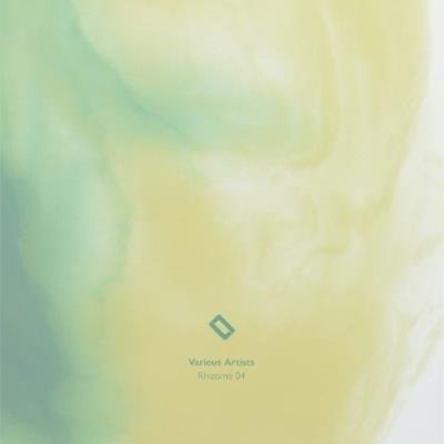 Rhizome 04 (2021)