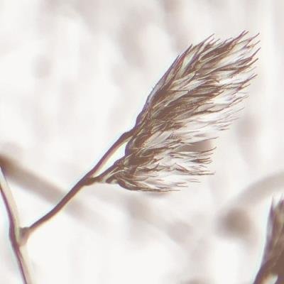 AFFIN - 15 | 1 (2021)