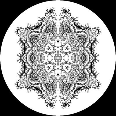 Flaws - The Awakening (2022)