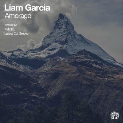 Liam Garcia - Amorage (2022)