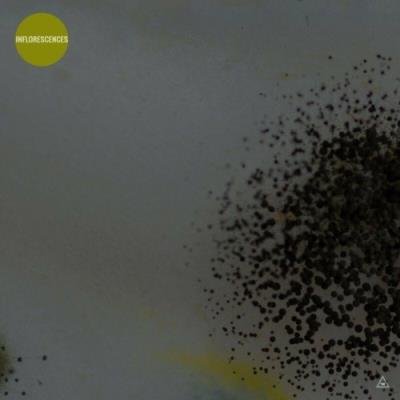 Obazda - Inflorescences (2022)