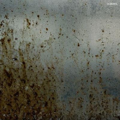 Molecular Diffusion (2022)