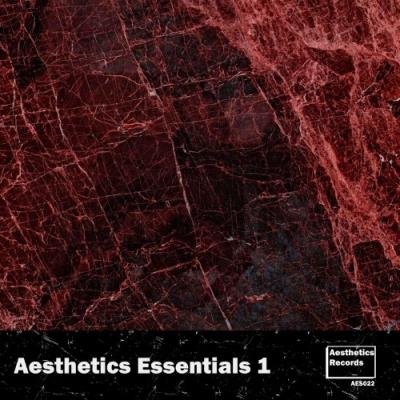Aesthetics Essentials 1 (2022)