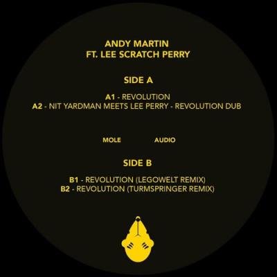 Andy Martin Ft. Lee Scratch Perry - Revolution (2022)