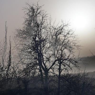 Affin Selection (2021)